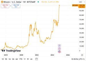 Bitcoin brød alle rekorder i nat – hvad nu?